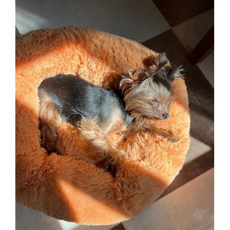 Лежанка «Ворс» персиковая 50 см